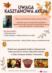 Kasztanowa akcja!
